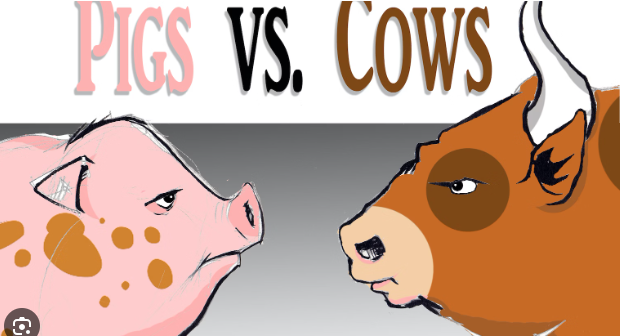 Would You Rather Be a Cow or a Pig?
