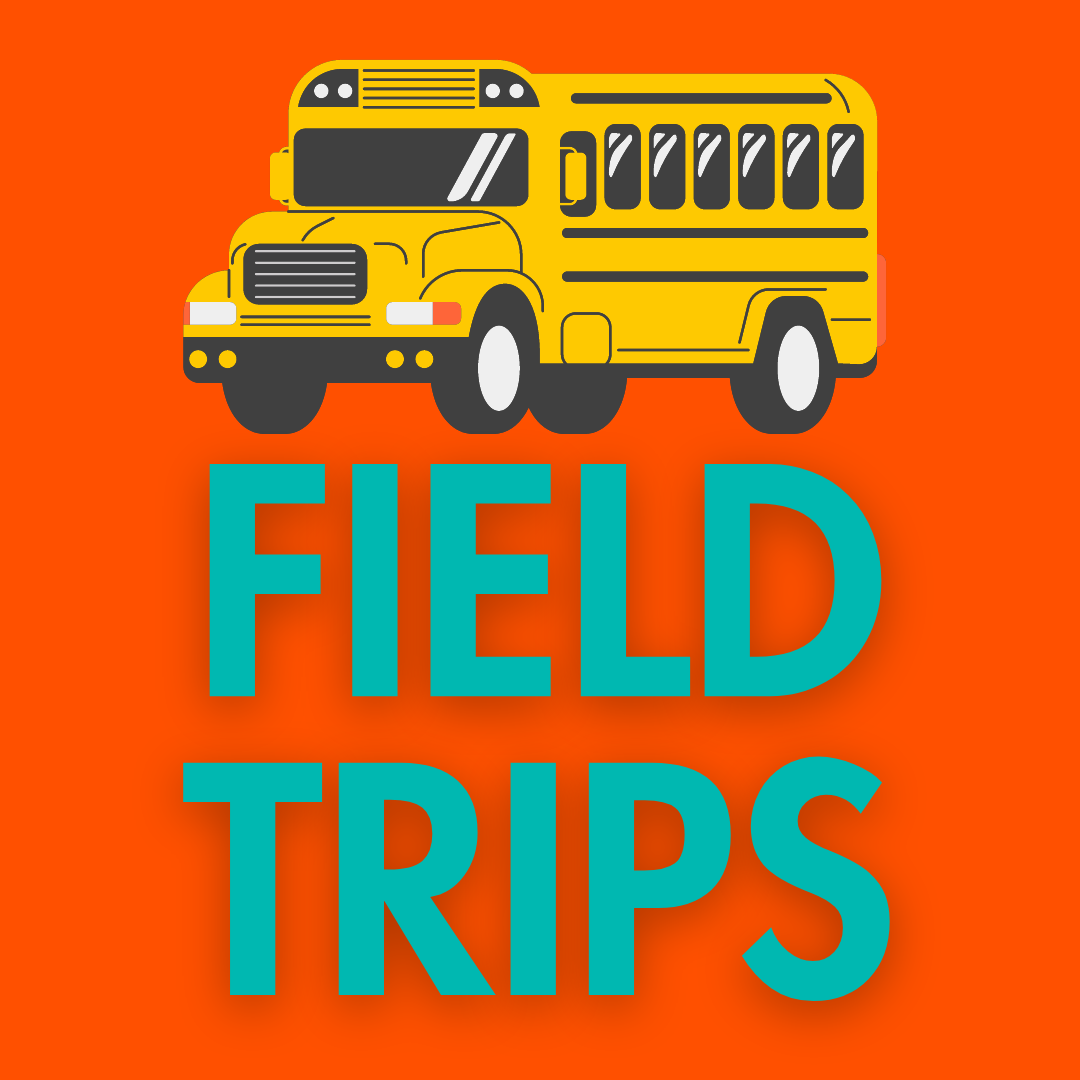 What Is The Best School Field Trip?