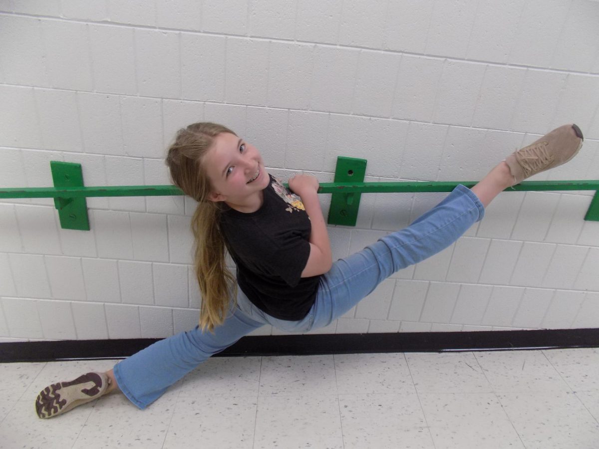 Hornet Spotlight - Anna Stapel