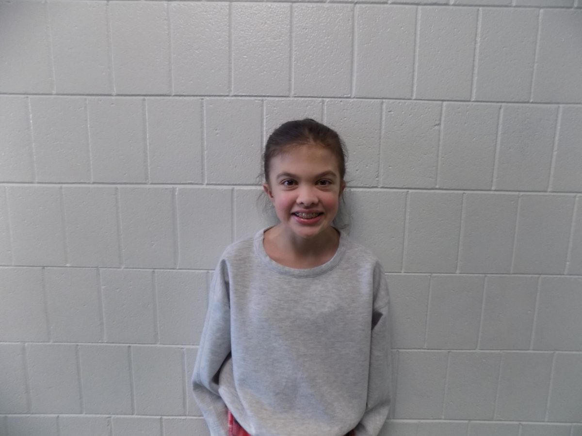 Hornet Spotlight Lily Taylor