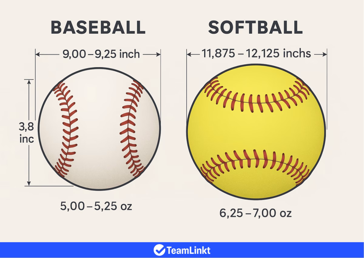 SOFTBALL VS BASEBALL