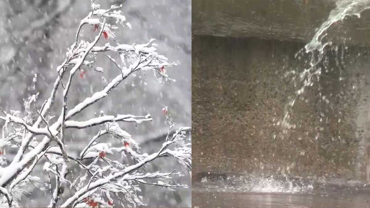 Rain or Snow?