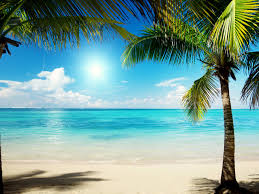Summer Break is Nearing!